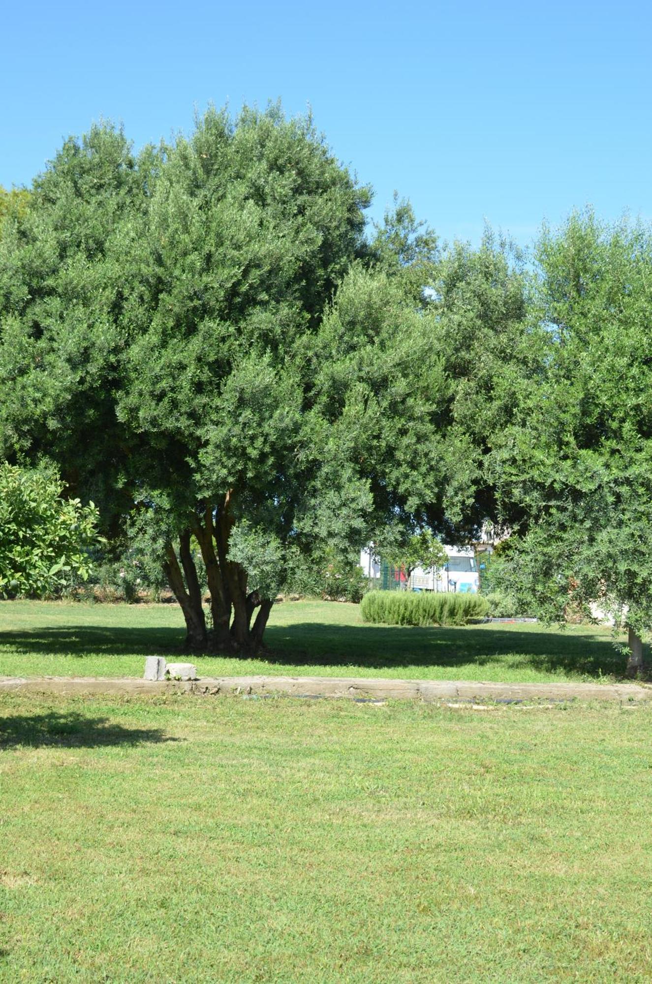 Villa Teti - Sicilia Кампофеличе-ди-Роччелла Экстерьер фото